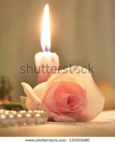 Similar – Image, Stock Photo Pink Rose Harmonious