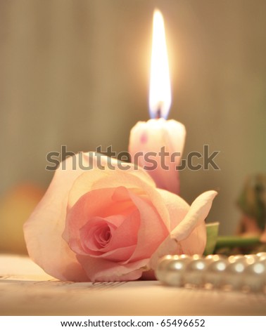 Image, Stock Photo Pink Rose Harmonious