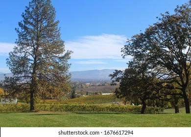 Beauty View Of The Rogue Valley