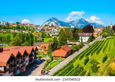 Beauty Vineyards In Spiez Town Of Bern Canton In Switzerland