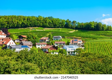 Beauty Vineyards In Spiez Town Of Bern Canton In Switzerland