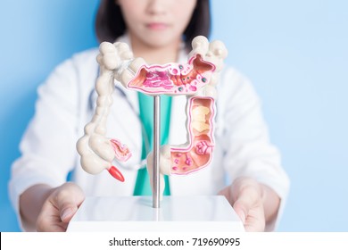 Beauty Woman Doctor With Colorectal Cancer Concept On The Blue Background