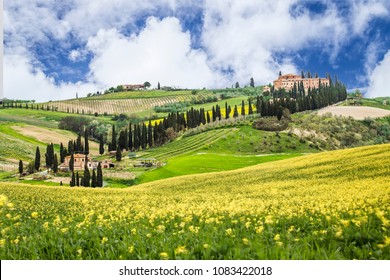 BEAUTYFUL IDYLLIC TUSCANY LANDSCAPE WITH CYPRESS TREES. TOP ATTRACTION IN ITALY