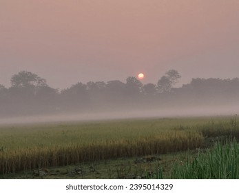The beautyfull moments of sun rises. - Shutterstock ID 2395014329