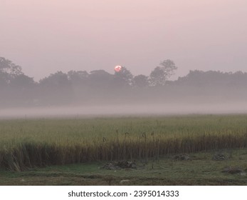 The beautyfull moments of sun rises. - Shutterstock ID 2395014333