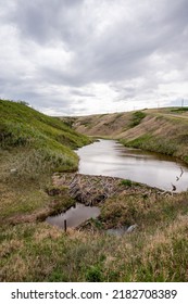 Beaver Dam In The Badlands Of Alberta 