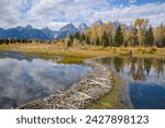 Beaver dam, snake river at schwabacher landing, grand tetons national park, wyoming, united states of america, north america