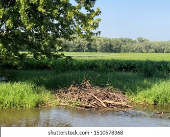 Beaver Den In Galena, IL