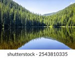 Beaver lake landscape spruce trees from hiking trail in Beaver Creek ski resort near Avon, Colorado in summer in Holy Cross Wilderness