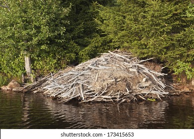 Beaver Lodge In Lake