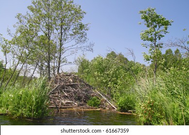 Beaver Lodge On Lake Shore