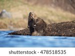 Beaver River