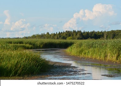 Beaver River Wetlands Ontario Canada