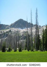 Beaverdam Peak Near McCall Idaho