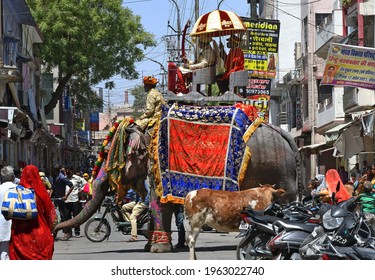 Beawar, Rajasthan, India, April 26, 2021: A Groom Sitting On An Elephant During His Wedding Procession During Lockdown Imposed By Government Amid Surge In COVID Cases, In Beawar. Photo: Sumit Saraswat