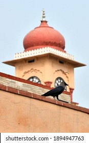 Beawar, Rajasthan, India, Jan. 4, 2021: A Crow Sitting On A Wall In Front Of Municipal Council Building In Beawar. Bird Flu Alert In India. Photo: Sumit Saraswat