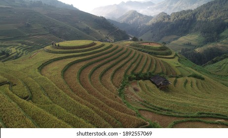 Terrace Paddy Field Images Stock Photos Vectors Shutterstock