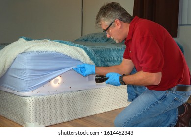 Bed bug infestation extermination service man in gloves and safety glasses inspecting infected mattress sheets and blanket bedding with a powerful flashlight preparing to exterminate the bugs.