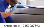 Bed Bug Infestation And Treatment Service. Bugs Extermination