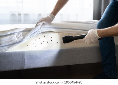 Bed Bug Infestation And Treatment Service. Bugs Extermination - Shutterstock ID 1953454498