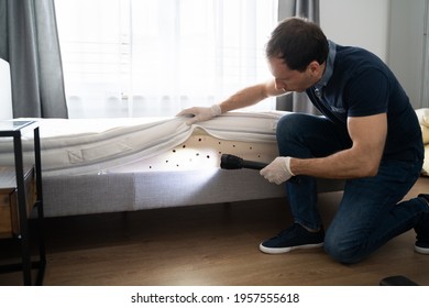Bed Bug Infestation And Treatment Service. Bugs Extermination - Shutterstock ID 1957555618