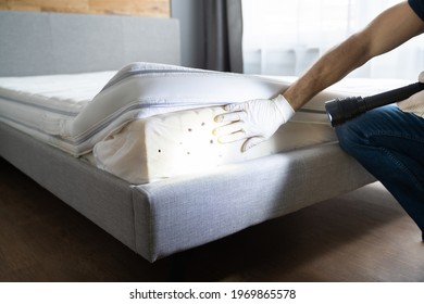 Bed Bug Infestation And Treatment Service. Bugs Extermination - Shutterstock ID 1969865578