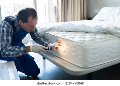 Bed Bug Infestation And Treatment Service. Bugs Extermination - Shutterstock ID 2194798849