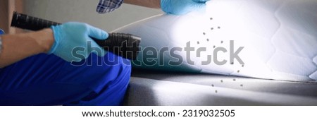 Bed Bug Infestation And Treatment Service. Bugs Extermination