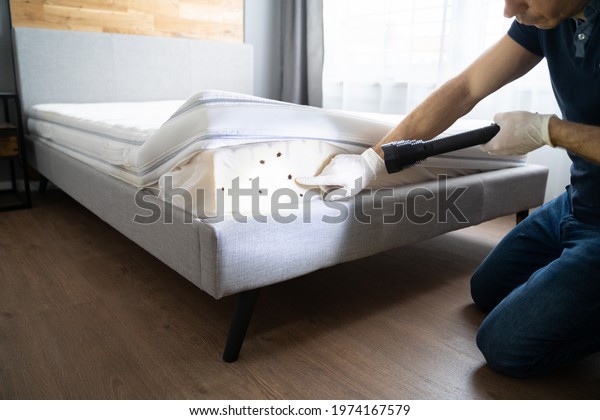 Bed Bug Infestation And Treatment Service.\
Bugs Extermination