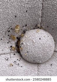Bed bugs on a button backboard bed