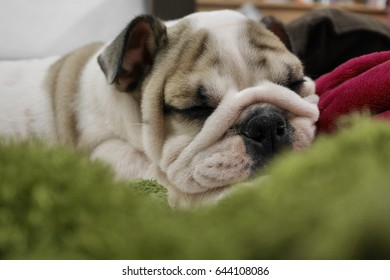BED FOR ME.