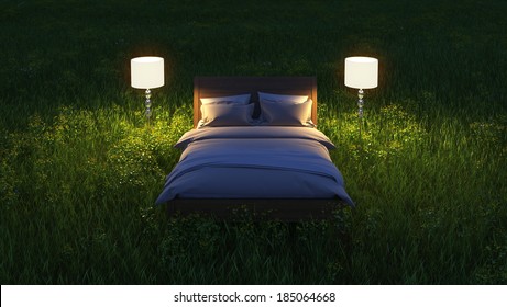 Bed In Night Field