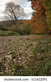 bed of a river