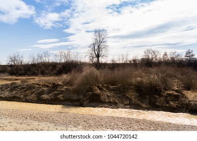 the bed of a river in the spring
