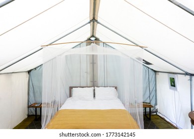 Bed Surrounded By Mosquito Net Inside Of Glamping Tent, With Nightstands