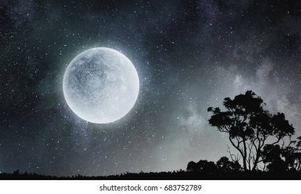 6,520 Fullmoon Images, Stock Photos & Vectors | Shutterstock