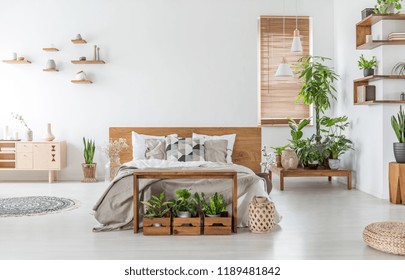 Bed With Wooden Headboard In White Spacious Bedroom Interior With Cupboard And Plants. Real Photo