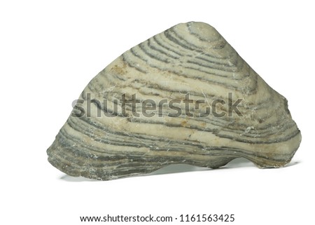 bedding clastic sedimentary rocks