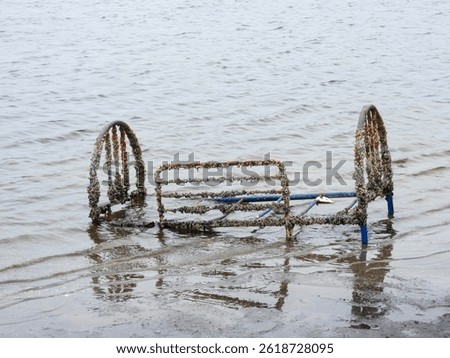 Bedframe rusting away in a Florida pond
