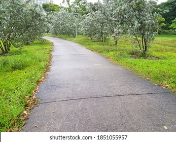 Bedok Reservoir Park In Singapore