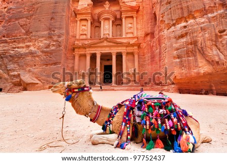 Bedouin camel rests near the treasury Al Khazneh carved into the rock at Petra, Jordan