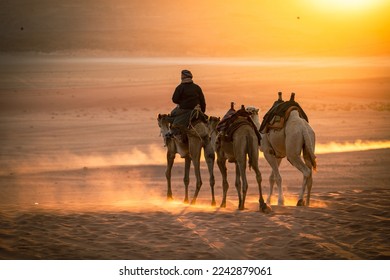 Bedouin riding camel at sunset in Wadi Rum, Jordan. - Shutterstock ID 2242879061