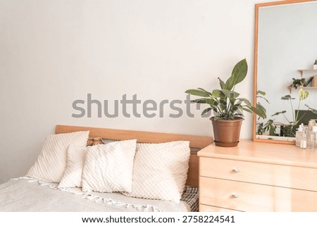 Bedroom interior featuring bed with plush cushions, green houseplant on wooden dresser, and mirror reflecting shelves. Cozy bedroom interior with bed, houseplant, and dresser mirror