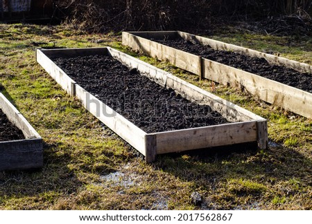 Beds for growing vegetables, made of rough boards and filled with fresh earth. Preparation of garden for planting plants. Gardening on swampy soils.