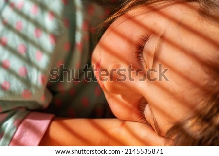 Similar – Image, Stock Photo Good morning! Good morning!