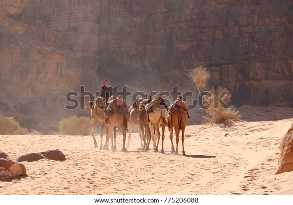 ansvar Depression Ocean Beduin Camels Wadi Rum Desert Jordan Stock Photo (Edit Now) 775206088