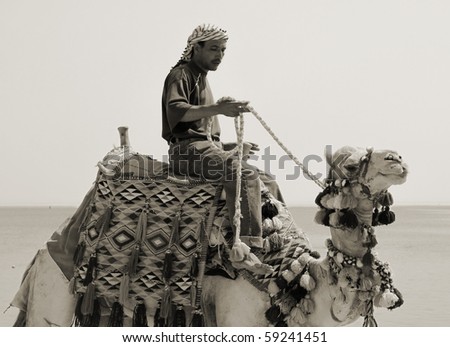 Beduin on his camel in Egypt - sepia