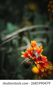 Bee in the Bundle of Flowers