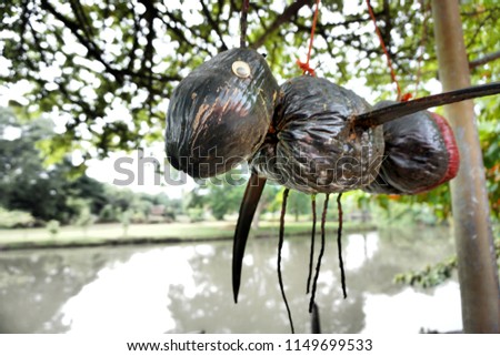 Bee doll made of coconut shell painted black. Hanged on a tree with a rope. A doll made up of simple. By the back of the doll is a small river.