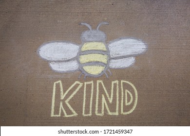 Bee Drawn With Sidewalk Chalk  - Bee Kind